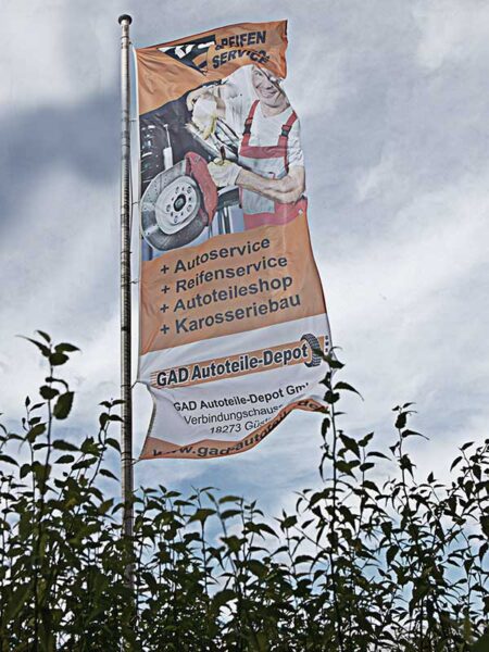 IMG_7020 e1773222540345